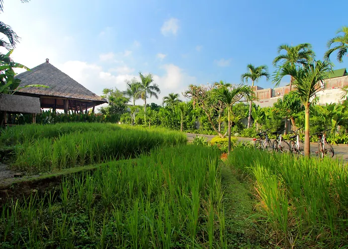 فندق The Kirana 4*